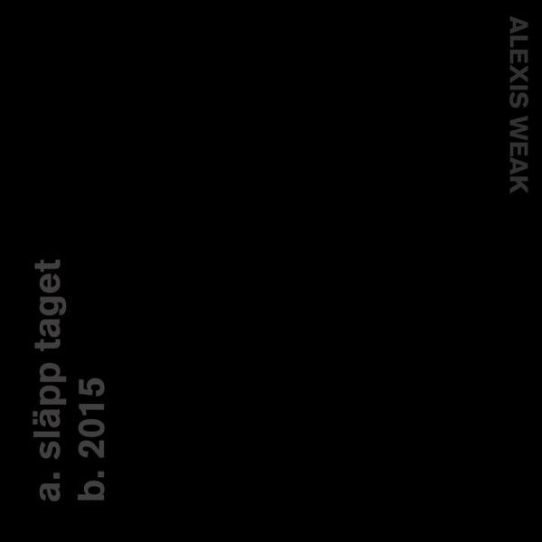 Släpp Taget (Kocky remix)