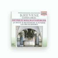Dietrich Kollmansperger