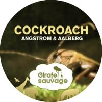 Cockroach (Pfirter Remix)