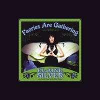 Faerie Elaine Silver