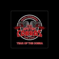 The Spittin' Cobras
