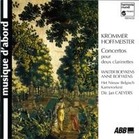 Concerto for Two Clarinets et Orchestra, Op. 35: I. Allegro