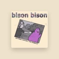 Bison Bison