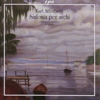 Sinfonia for Strings, Op. 53: I. Con Moto