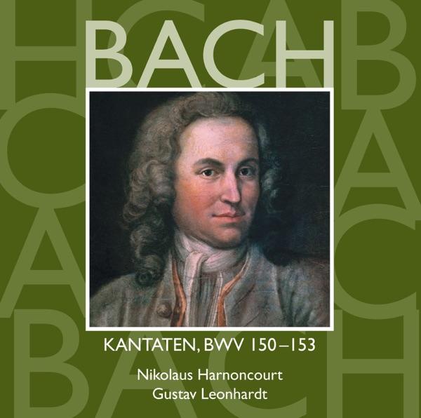 Cantata No. 150 Nach dir, Herr, verlanget mich, BWV 150: III. Aria - "Doch bin und bleibe ich vergnügt" [Boy Soprano]
