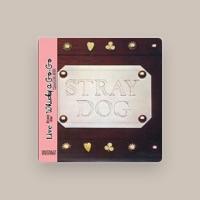 Stray Dog