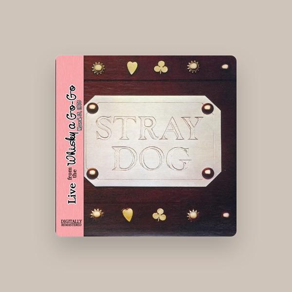 Stray Dog