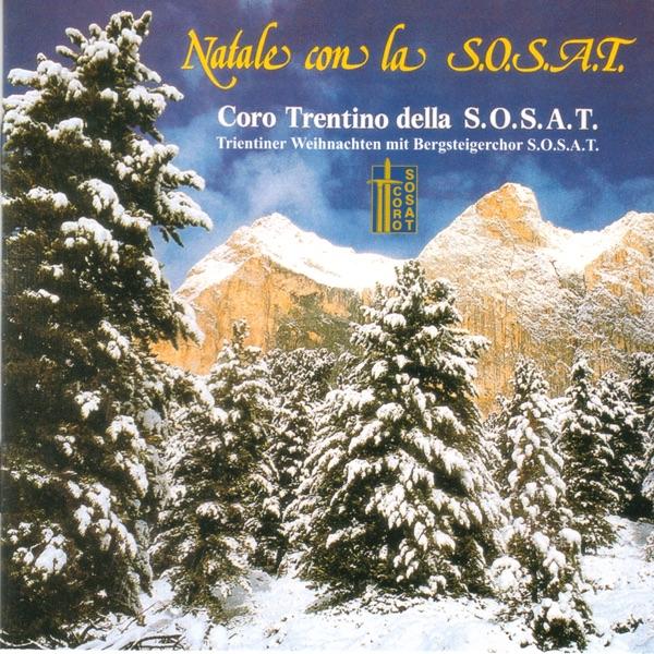 La Stella Tua