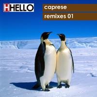 Electrolyse (Caprese Remix)