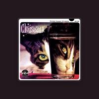 Clouseaux