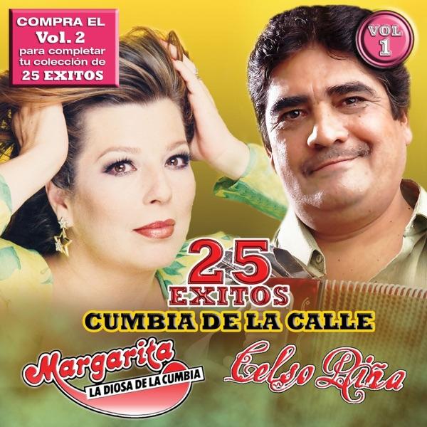 Que Nadie Sepa Mi Sufrir (Amor de Mis Amores)