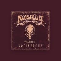 Noisecult