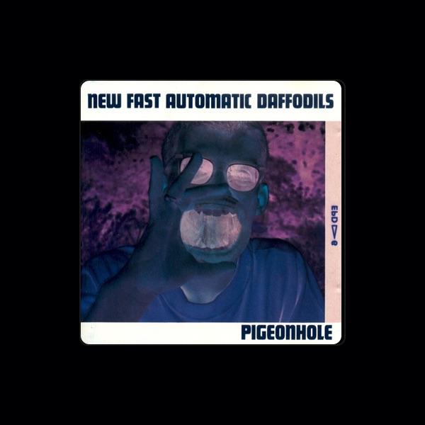 New Fast Automatic Daffodils