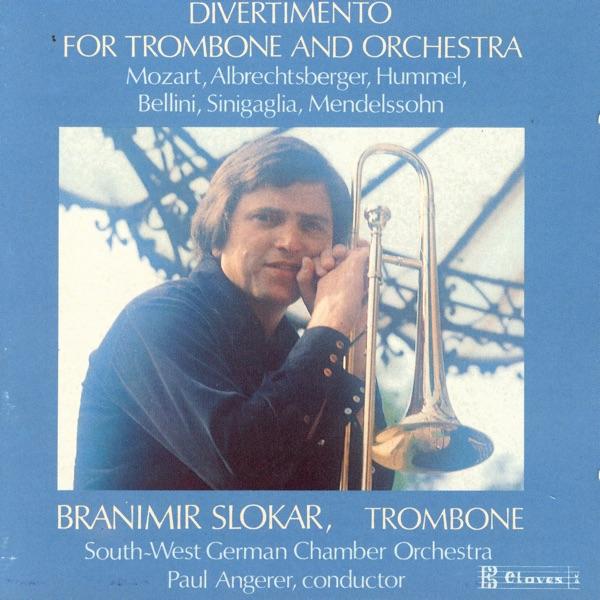 Concerto in D Major: I. Allegro