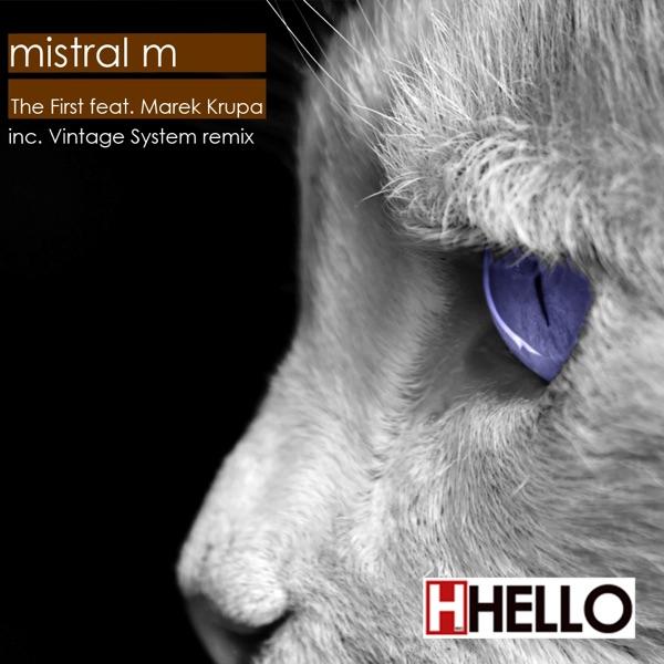 The First (Vintage System Remix) (feat. Marek Krupa)