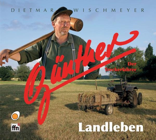 Der Grünkohl
