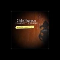 Galo Pacheco