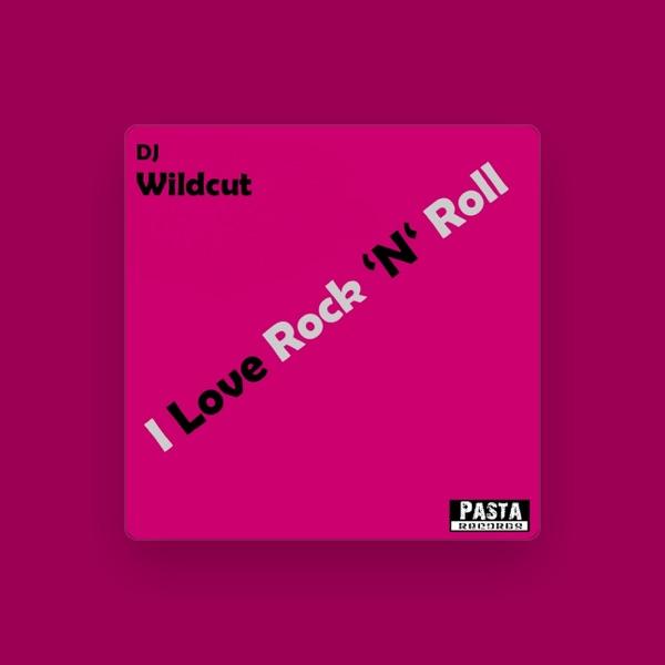 DJ Wildcut