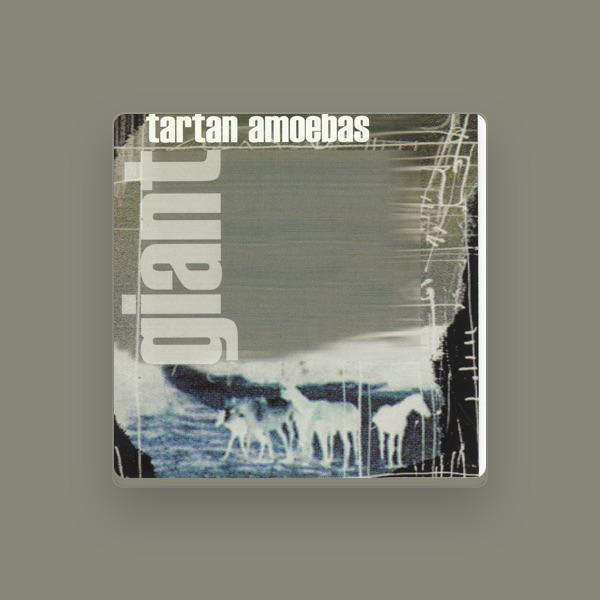 Tartan Amoebas