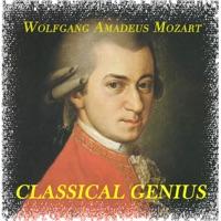 Concerto for Flute and Harp C Major Kv 299: Andantino
