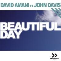 Beautiful Day (Grey T Remix)