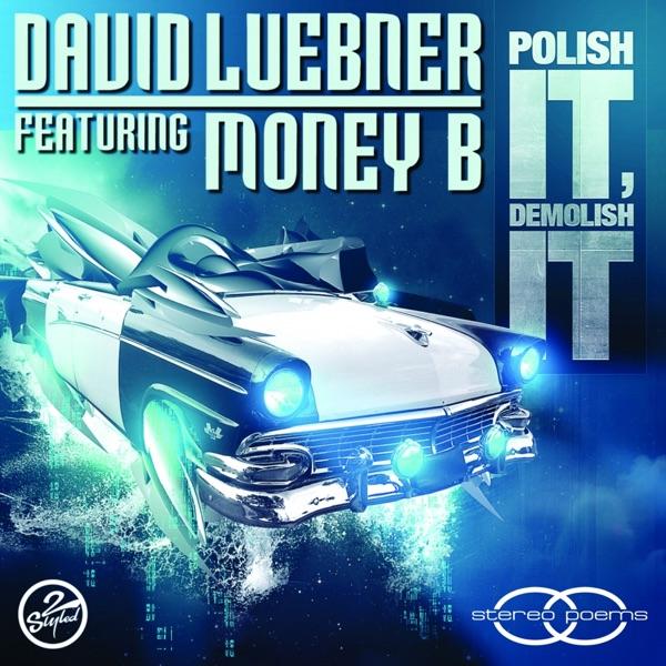 Polish It, Demolish It (Dub Mix) (feat. Money B.)