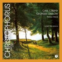 Piano Trio No. 8 in C minor, Op. 26: IV. Finale: Allegro agitato