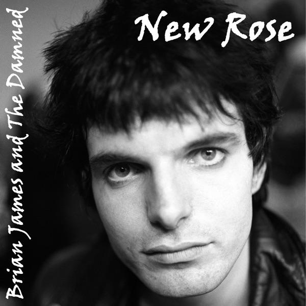 New Rose