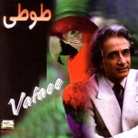 Raz Negah (Instrumental Version)
