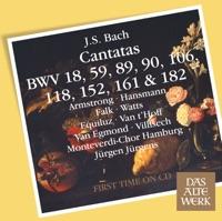 Cantata No. 90 Es Reisset Euch Ein Schrecklich Ende, BWV 90: I Aria - "Es Reisset Euch Ein Schrecklich Ende" [Tenor]