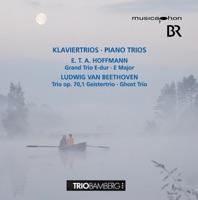 Grand Trio in E-Dur: III. Adagio - Allegro Vivace