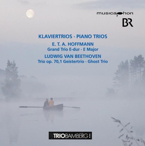 Grand Trio in E-Dur: III. Adagio - Allegro Vivace