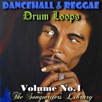 Reggae Drum Loop #35