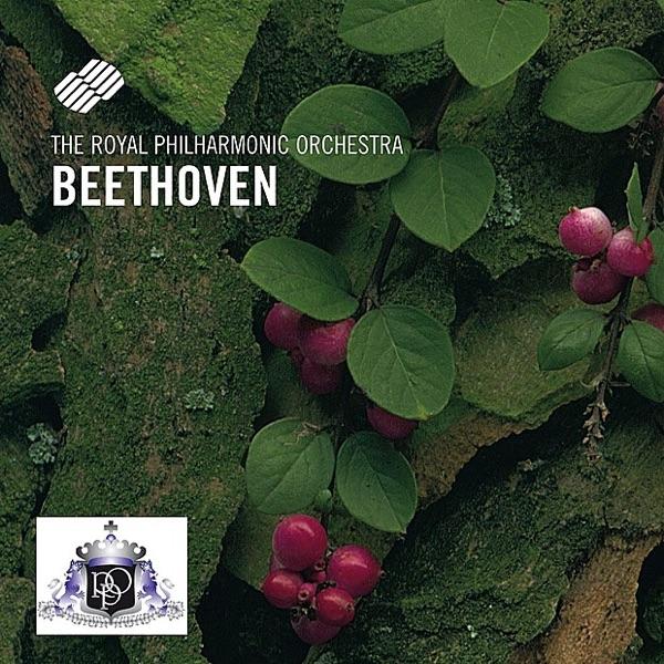Symphony No. 2 In D Major, Op. 36: IV. Allegro molto