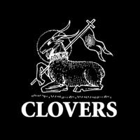 THE IRISH ROVER