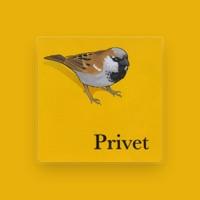 Privet