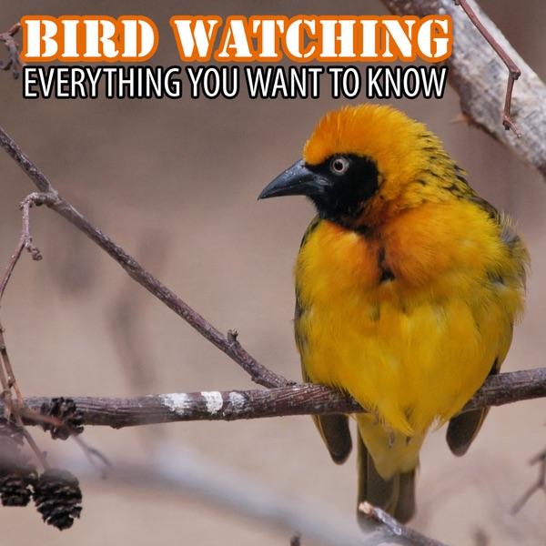 Bird Watching Binoculars