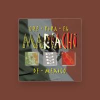 Mariachi Los Tecolotes