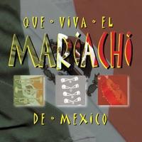 Cuando Se Duerme Guadalajara