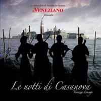 Neve a Venezia