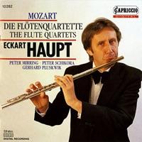 Flute Quartet No. 2 in G major, K. 285a: II. Tempo di menuetto