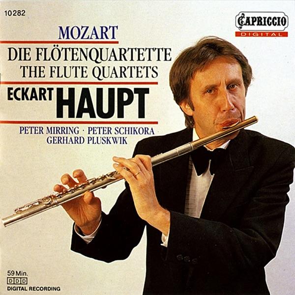 Flute Quartet No. 1 in D major, K. 285: II. Adagio