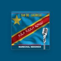 Marechal Nekongo