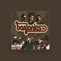 Bayonics