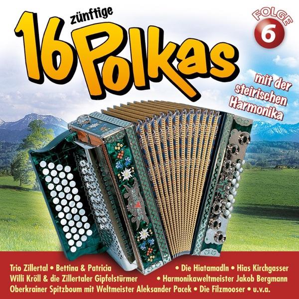 Harmonika Tratzer