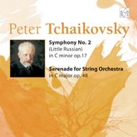 Serenade for string orchestra in C Major.IV.Finale