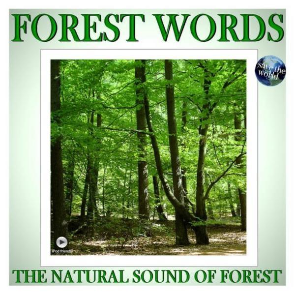 Forest Rain