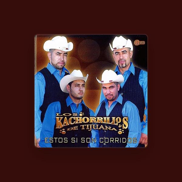 Los Kachorrillos De Tijuana