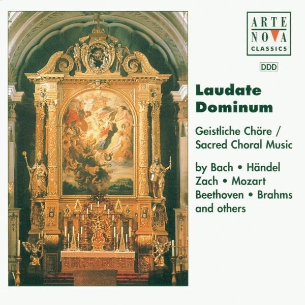 Requiem in D minor KV 626: VII. Agnus Dei - VIII. Communio: Agnus Dei - Lux aeterna