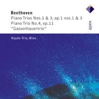 Piano Trio No. 1 in E Flat Major, Op. 1 No. 1: II. Adagio cantabile